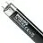 Philips MASTER TL-D 18W - Blacklight Blau | 60cm