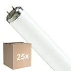 Mehrfachpackung 25x Philips T8 Flexo print 40W | 60cm - UVA